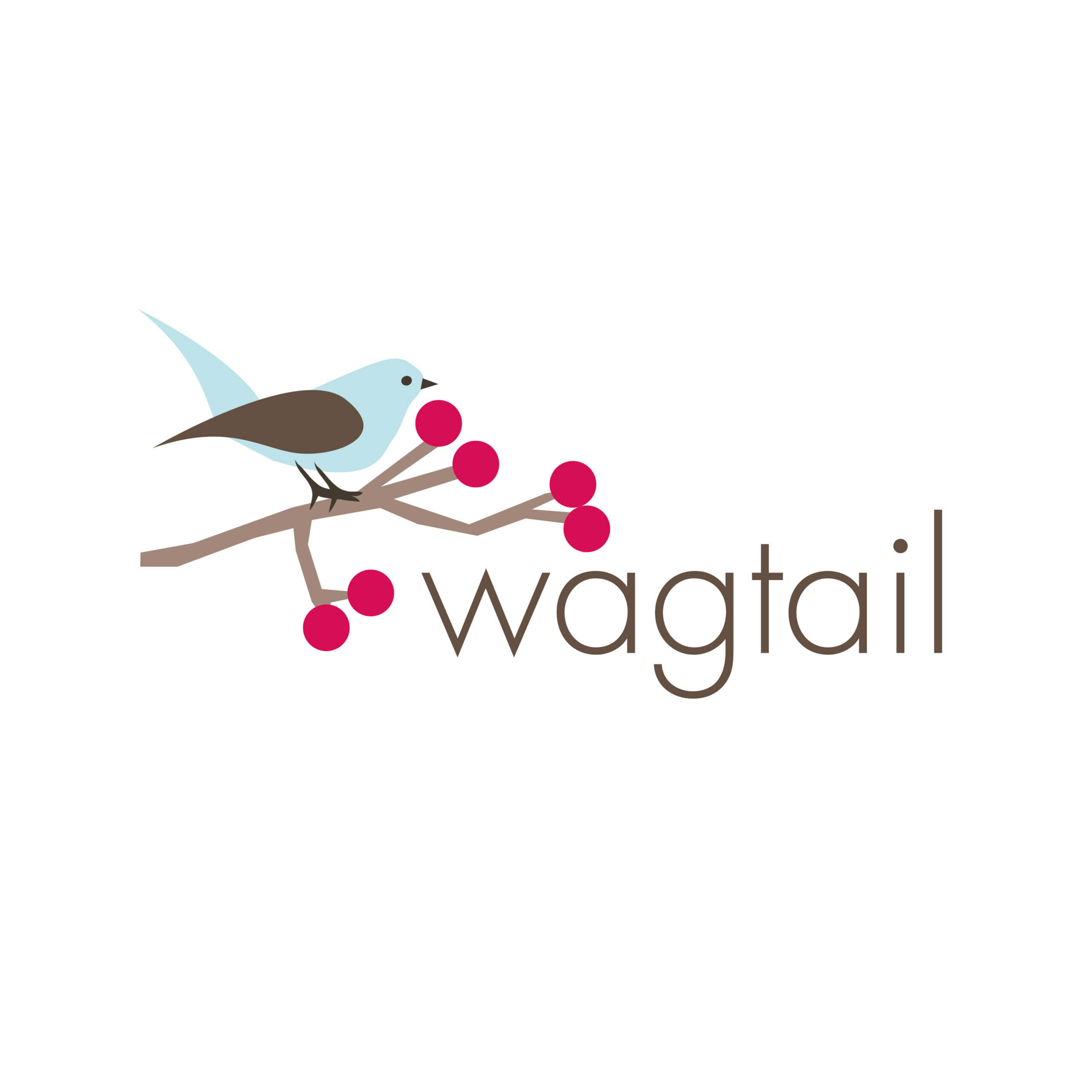 wagtail bird